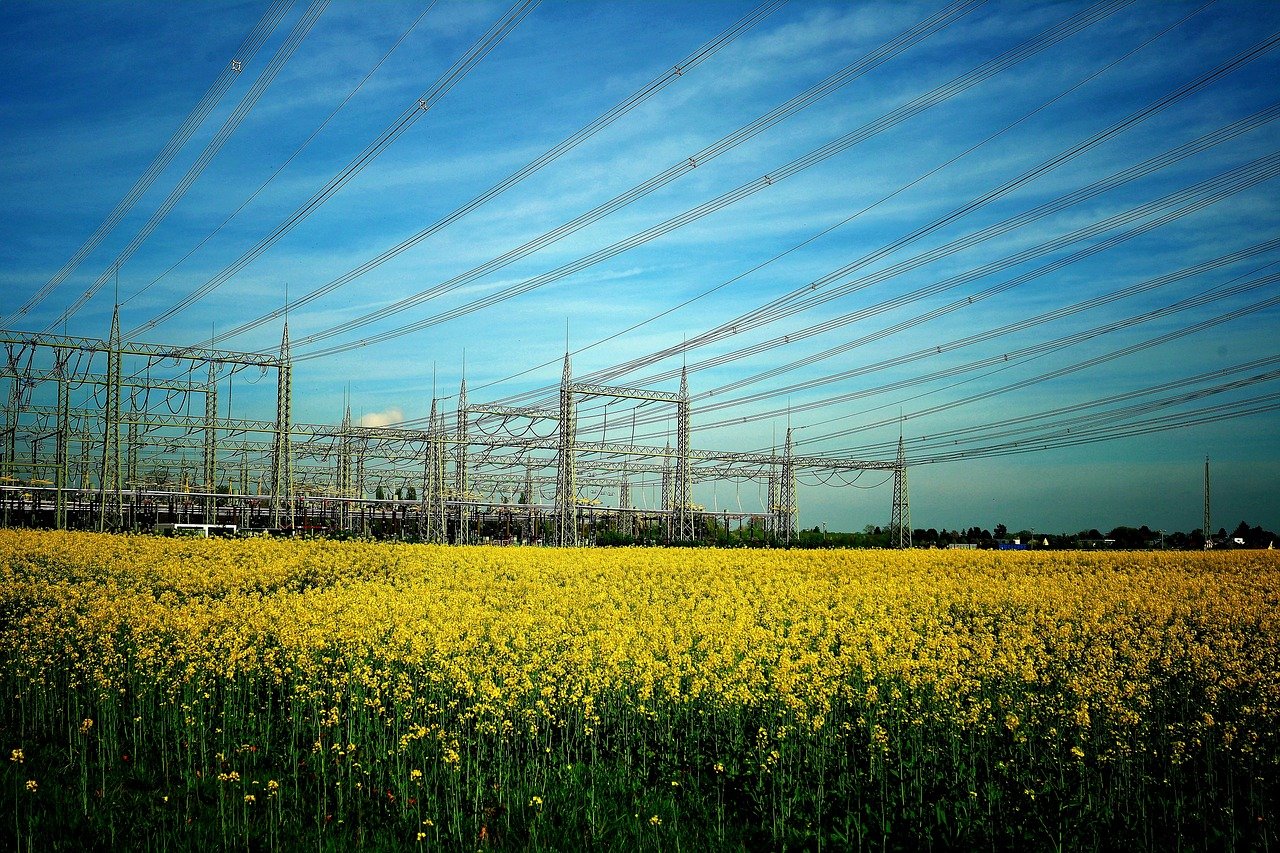 Faraday: The Pioneer of Electricity